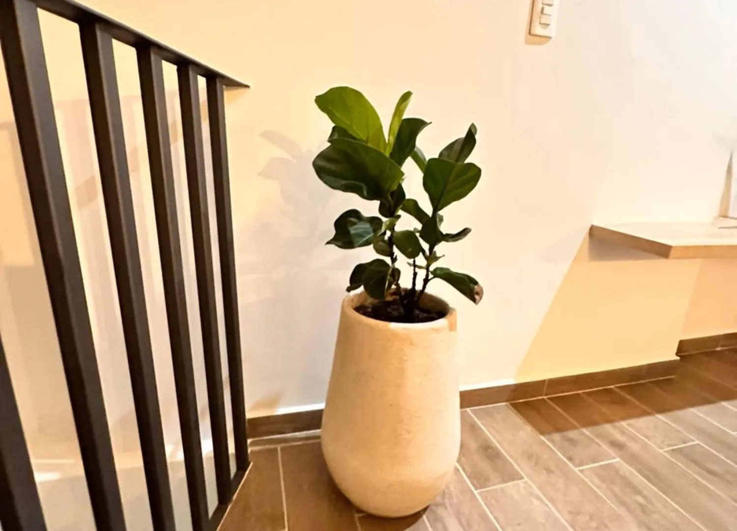 דירות Cartagena Old City New Duplex With Roof & Pool